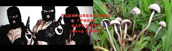 хмурый Кулебаки