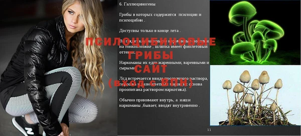 хмурый Кулебаки
